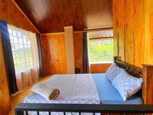 a bed in a room with wooden walls and windows at Poas Green Chalets in Fraijanes
