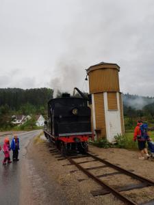 a steam engine train on tracks next to a road at Fjordstay in Vennesla