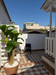 a plant in a pot sitting on a patio at Beach house airport in Fiumicino