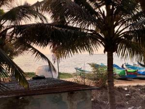 a palm tree next to a beach with boats at Nanasu Home stay in Malpe