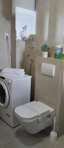 a bathroom with a white toilet and a window at Apartman TUSUM Ražanac in Ražanac +13 photos