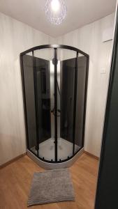 a glass enclosed shower in a room with a rug at Chambre 1 in Aniche +3 photos