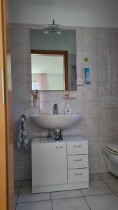 a bathroom with a sink and a mirror at A u r o r a Central Room climatizzata vicino FFS in Cadenazzo