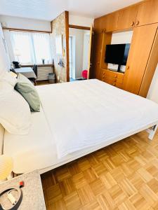 a large bed in a room with a tv at Studio Breiti I eigener Eingang l self check in l nähe Basel in Pratteln