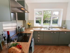 a kitchen with green cabinets and a counter with a sink at Seashells at Runswick Lodge in Saltburn-by-the-Sea