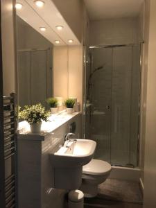 a bathroom with a toilet and a sink and a shower at 2, The Lodge, Tideswell in Tideswell