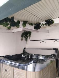 a group of plants on the ceiling of a room at Ecrin de Verdure Spa, Piscine et Nature in Angrie +34 photos