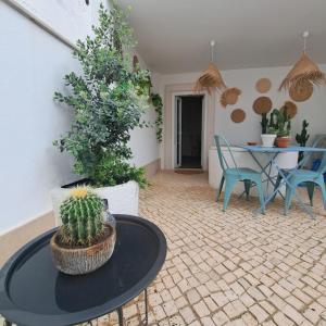a patio with a table with a cactus on it at Casa do Logradouro in Alcochete