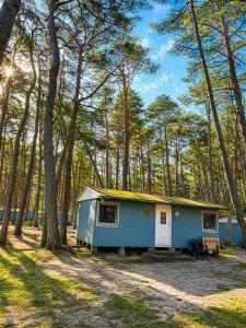 a blue tiny house in the middle of a forest at Feriensiedlung Schwalbennest - Bungalows in Dranske
