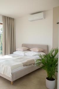 a bedroom with a white bed with a potted plant at Domek Nad Jeziorem 6 osobowy in Rożnów
