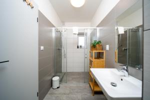 a bathroom with a sink and a shower at Chalet Pasečná Apartments in Přední Výtoň