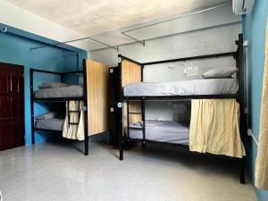 two bunk beds in a room with blue walls at Caye Caulker Hostel in Belize City