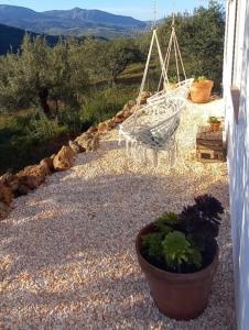 a porch with a swing and a potted plant at Casa del Sueño - Casitas met uitzicht in Alora