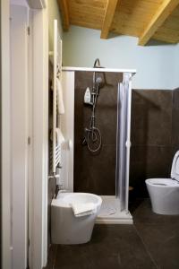 a bathroom with a shower and a toilet and a sink at Caudium B&B in Montesarchio +10 photos