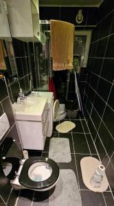 a bathroom with a toilet and a sink at Billet Senior in Fredrikstad +26 photos