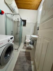 a bathroom with a washing machine and a toilet at Gaias Hideway in Áno Vlasía
