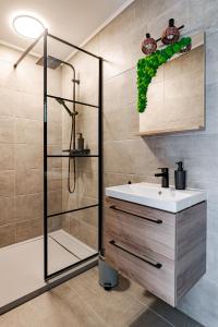 a bathroom with a sink and a shower at Bodony Cottage in Bodony +12 photos