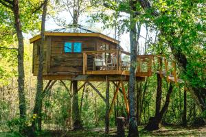 a tree house in the middle of the forest at Cabane perchée in Puylaurens