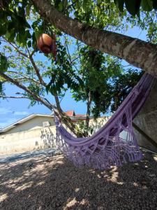 a purple hammock hanging from a tree at Lumos Experience in Guaratuba
