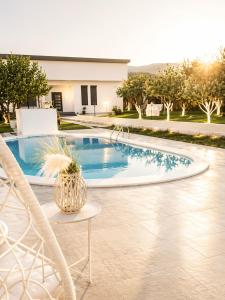a swimming pool with a chair and a potted plant at Relax Villa with Pool in Bihać