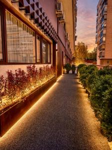 a street with lights on the side of a building at Miriam by Dozzze in Madrid