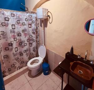 a bathroom with a toilet and a shower curtain at El Farolo in Tilcara
