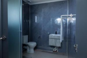 a bathroom with a toilet and a sink and a shower at Towny Lodge in Kokstad +13 photos