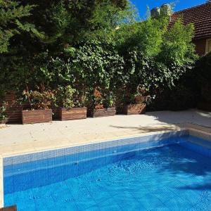 a blue swimming pool in front of some trees at Rincon de Gulliver in Pinamar