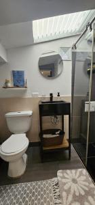 a bathroom with a toilet and a sink and a shower at Aparta estudio campestre in Chía