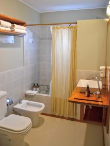 a bathroom with a toilet and a sink and a shower at Del Nomade Hosteria Ecologica in Puerto Pirámides