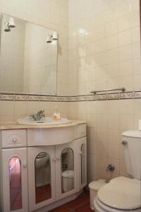 y baño con lavabo, aseo y espejo. en Quinta do Pinhal, en Constância