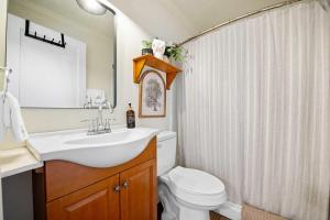 a bathroom with a sink and a toilet and a shower at Cumberland Room on Lookout Mountain in Lookout Mountain