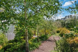 a path through a garden with trees at Bendalong - Rural Retreat, Short Drive to CBD in Orange +23 photos