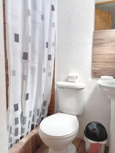 a bathroom with a toilet and a shower curtain at Misky Wasi in San Pedro de Atacama +73 photos