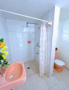 a bathroom with a pink sink and a shower at Villa X'Cocay in Valladolid +36 photos
