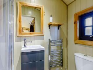 a bathroom with a sink and a mirror and a toilet at 1 Bed in Lydney oc-85862 in Bream