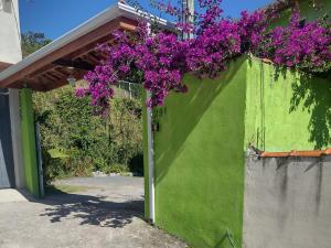a bunch of purple flowers hanging from a building at Chale 8A in Cunha