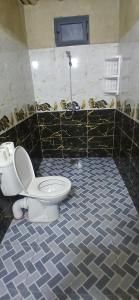 a bathroom with a toilet and a shower at Auberge Restaurant Oumidou in Agoudal