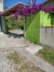a plant with purple flowers hanging from a building at chalé 8a 4 in Cunha +7 photos