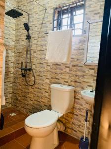 a bathroom with a toilet and a sink at Water House Lodge in Apenkwa