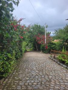 a cobblestone road with red flowers and a bench at Chalés serra negra in Bezerros +7 photos