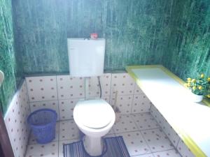 a bathroom with a white toilet and a sink at Phantom rock view homestay in Namara