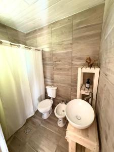 a bathroom with a toilet and a sink at Dormis El Alba in Barreal +13 photos