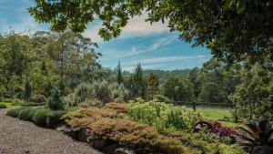a garden with many different plants and trees at Kingfisher Cottage in Broughton Vale +33 photos