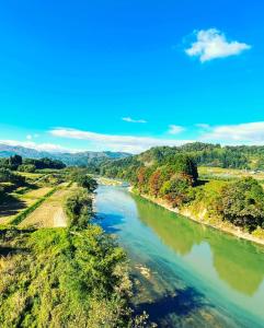 an aerial view of a river with trees at ゲストハウスさちさんち in Wagō