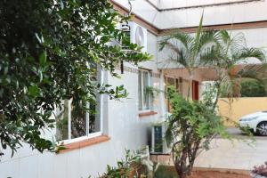 a white house with a palm tree in front of it at Molejo Guest House in Palatswe