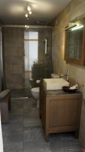 a bathroom with a toilet and a sink and a shower at La Bergerie St Antoine in Spéracèdes