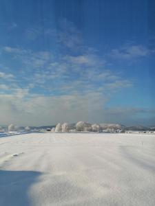 ein schneebedecktes Feld mit Bäumen in der Ferne in der Unterkunft あらさんち in Asahikawa