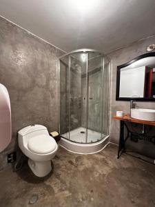a bathroom with a shower and a toilet and a sink at Eco Bunnu Inn Santa Ana in Cusco +75 photos