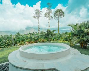 a hot tub in a garden with palm trees at Hideout Kintamani and Hot Spring in Kintamani